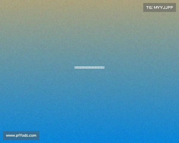 法甲团队分析：各队的阵容调整及其未来走势